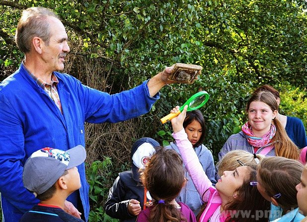 Michael Mller zeigt hier den Kindern ein Wildbienennest unter einer Holzplatte. − Foto: Griebl