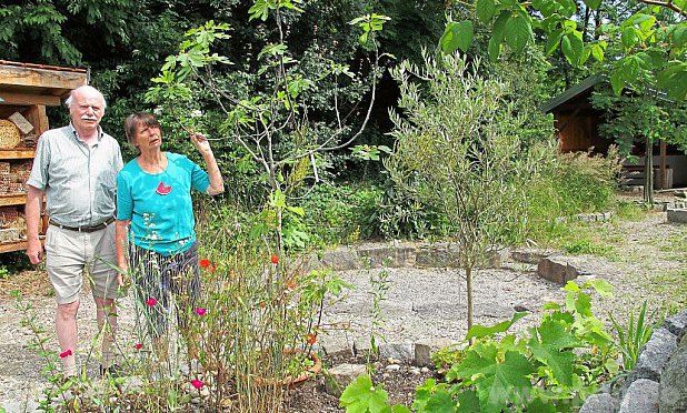 Durch den Bibelgarten fhrt der Gartenbauverein mit Vorsitzendem Hans-Joachim Fuchs, im Bild mit Ehefrau Sofie, heuer erstmals die Besucher des Pfarrfestes. − Foto: Wastl