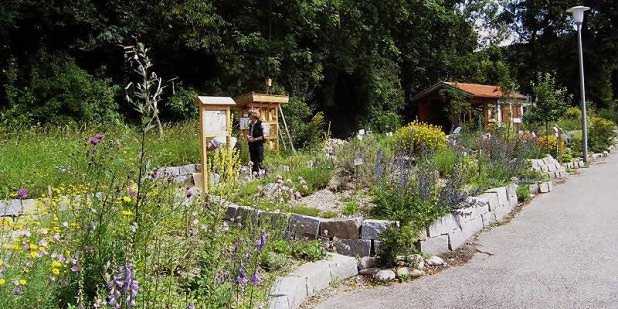 Beete der Schulkinder und der "Harter Gartenpiraten": Hier lernen die Kinder den richtigen Umgang mit den Pflanzen und mit der Natur.  − Foto: Jobst