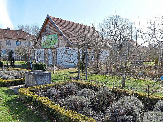 Der Vereinsgarten mit Gartenhaus: Im Vordergrund ist der Rosengarten zu sehen, dahinter die Spalier-Apfelbume. − Foto: Spielhofer