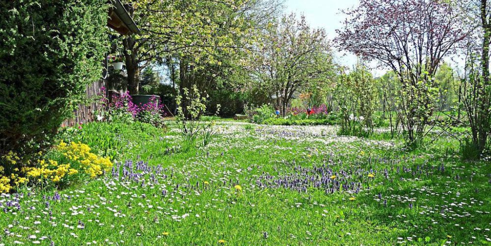 Eine grüne Oase kann der eigene Garten sein. − Foto: Umweltamt