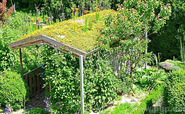 Fotos von Burghauser Gärten sammelt der Gartenbauverein Raitenhaslach, um damit deren ökologischen Wert zu dokumentieren. − F.: Stadt