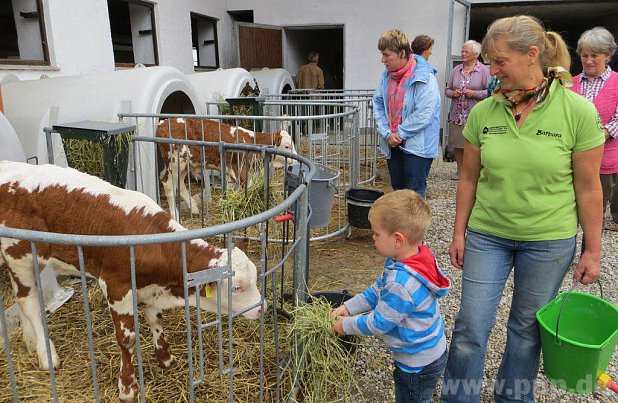 Beim Füttern des Kälbchens hatte Moritz (3 Jahre) seinen Spaß. Bäuerin Barbara Obereisenbuchner beobachtet amüsiert die Szenerie.