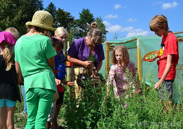 Beim Ferienprogramm konnten sich auch die Kinder einen Eindruck des Interkulturellen Gartens verschaffen. − Foto: BRK