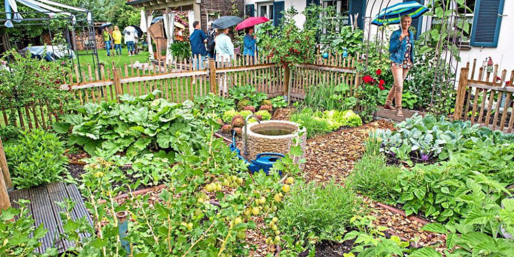 Christine und Manfred Blümlhuber aus Alzgern nennen einen sehr gepflegten Blumengarten mit Rosen ihr Eigen. Der Bauerngarten ist mit viele Liebe zum Detail angelegt und bietet auch lauschige Plätzchen zum Relaxen. Und auch bei Regen ist er schön. − Fotos: Alfred Kleiner