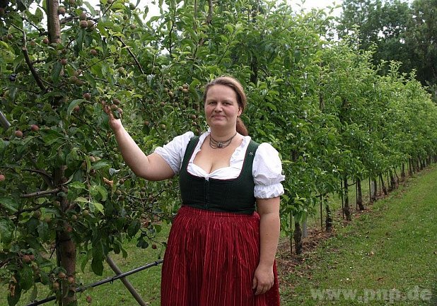 Andrea Westenthanner in der Spindelbusch-Anlage. Manche Reihen sind übersät mit Früchten, andere tragen heuer gar kein Obst. − Foto: Spielhofer