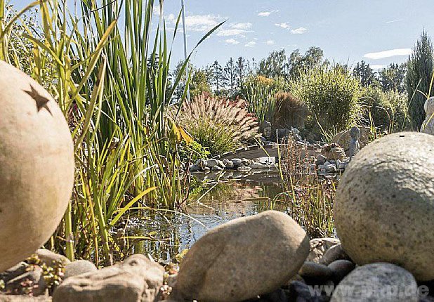 Das Biotop-Foto von Elvira Mittermeier wurde zum Titelbild des Gartenbauverein-Jahresprogramms 2016 gewählt.